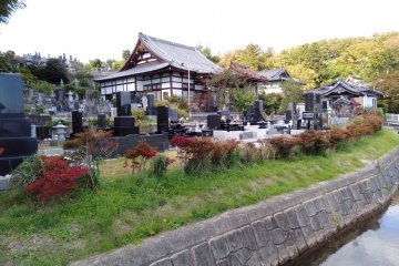 View of the temple from across the roadside canal