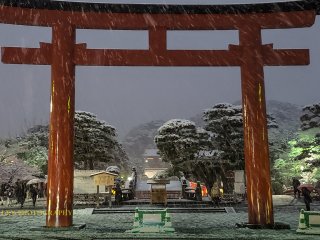 The giant San-no-torii, grand entrance to Hachimangu Shrine.