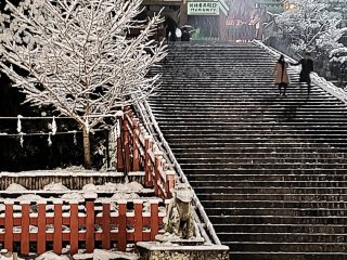 The grand stairway leading up to the Honden.