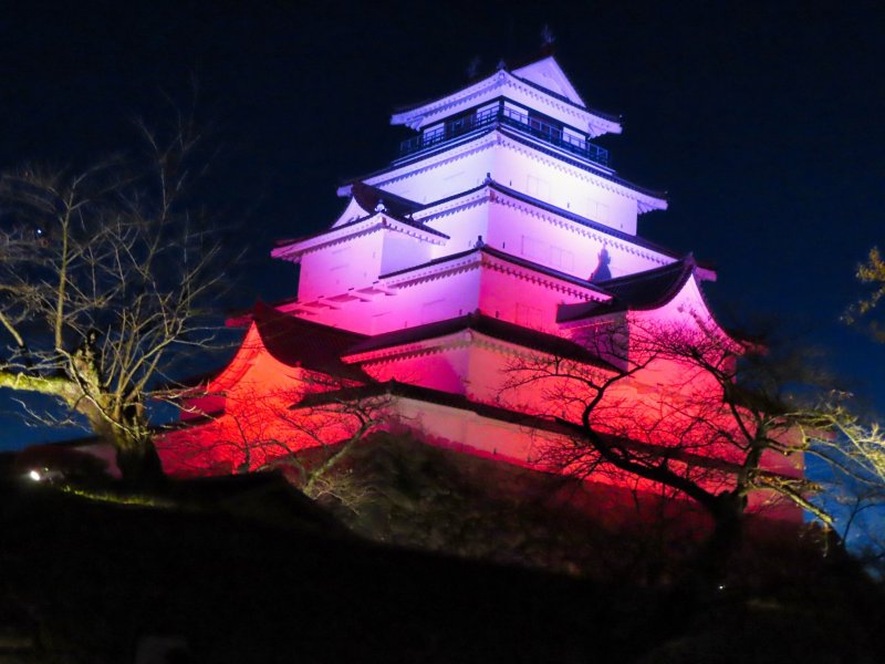 Tsurugajo Castle at night