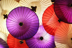 An exhibit of Japanese umbrellas