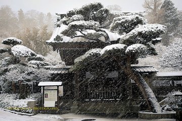 Kamakura Camera