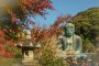 Kamakura Camera - The Great Buddha