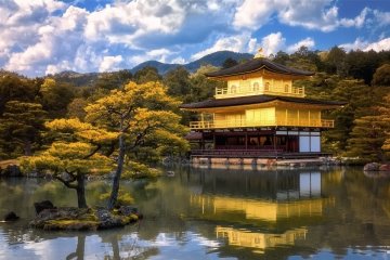 Gold & Yellow Destinations in Japan