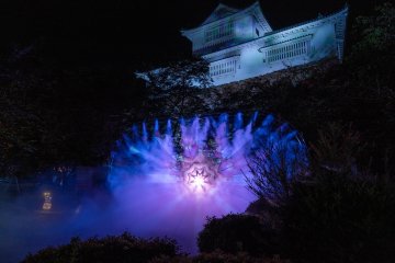 Tsuyama Castle Night Fantasia