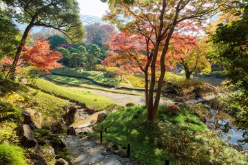 A traditional Japanese garden near central Tokyo