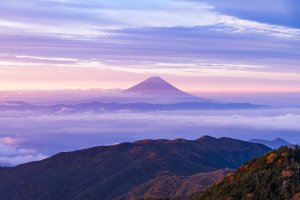 Mount Fuji encircled by a sea of clouds