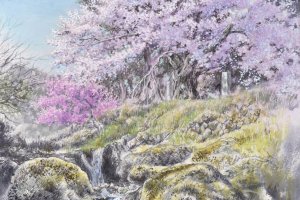 Painting of a very old cherry tree in Yamanashi