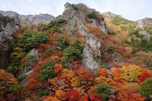 10 Autumn Leaf Spots Across Shikoku