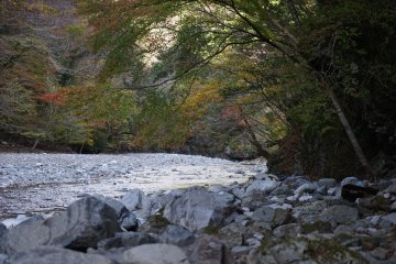 Early signs of autumn at Konose Gorge