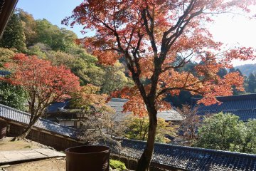 Autumn at Eiheiji Temple