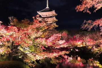 Toji Temple Pagoda