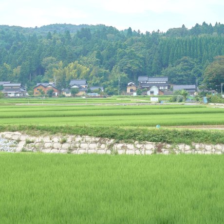 Onomi Village