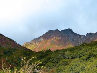 秋色の茶臼岳