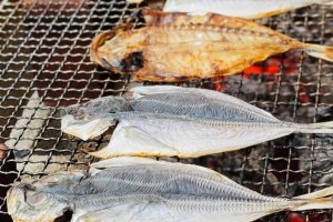 Ajiro Onsen Dried Fish Festival