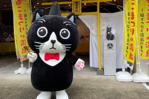 Yushima Cat Festival
