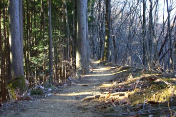 Most of the trails were maintained well
