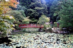 Beautiful ponds and mature gardens grace Oharano Shrine