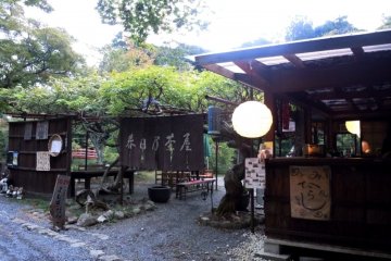 <p>Brown Noren&nbsp;at Oharano Shrine in the hills behind Kyoto</p>