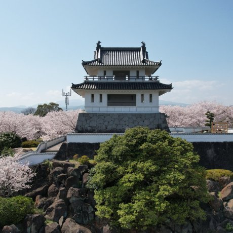 Takezaki Castle Ruins Sakura Festival