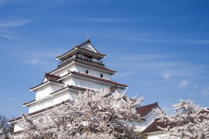 Tsuruga Castle Cherry Blossom Festival