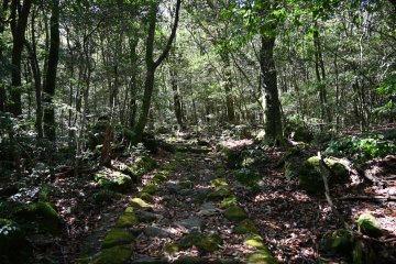Hiking trail