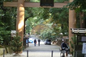 Giant torii at entrance to shrine