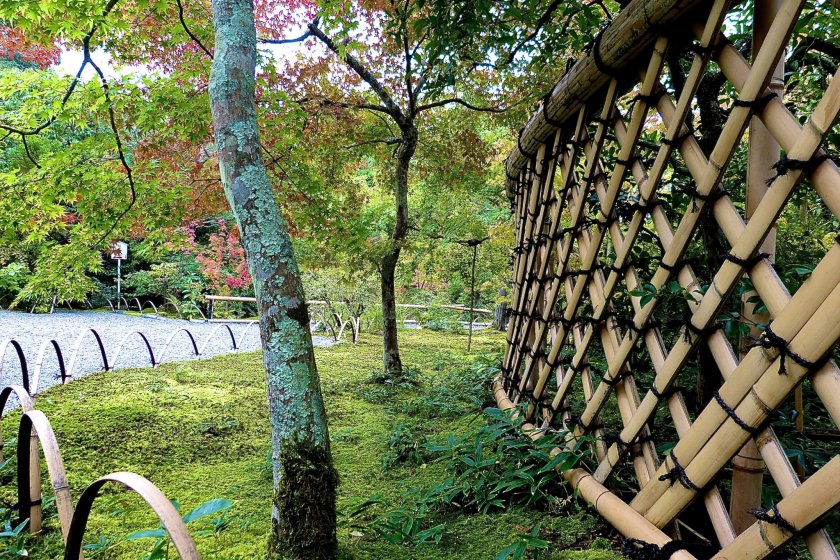 Cerca de bambu rodeando a casa de chá "Taikyo-an"