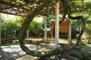 The Wisteria Trellis, a shaded pavillion where one can rest.