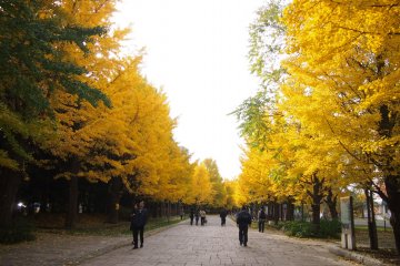 Nakajimakoen in Autumn