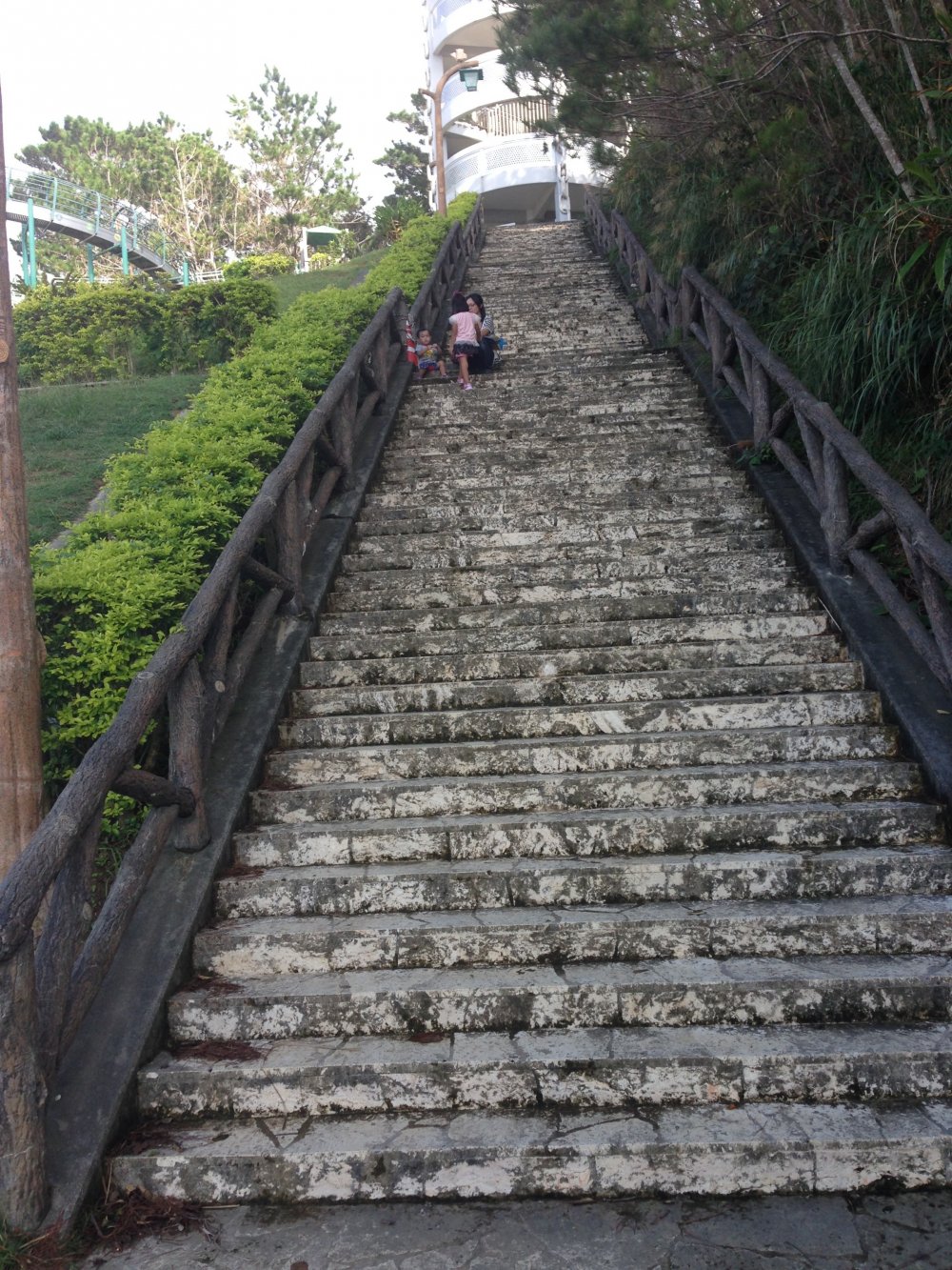 The steps leading to the top of the slide are steep and seemingly endless