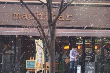 Asahikawa is one of the coldest cities of Japan. My view from Tully's Coffee as I saw the first snow shower of the year.