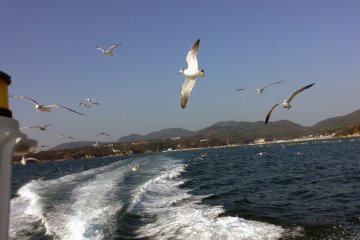 The speedboat taxi to the island and back is half the fun. Do buy sea gull food at the port then have a race with the gulls at almost break-neck speeds!