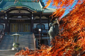 The Serene Temple of Kenpukuji