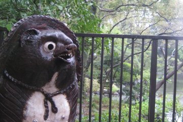 <p>We learned a bit about this Japanese folklore character, tanuki. We got in through the back gate of fenced in compound, to visit a shrine dedicated to this cute yet sometimes grotesque (huge balls dragging on the ground)&nbsp;character.&nbsp;</p>
