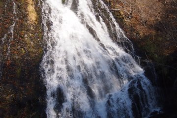 <p>Forked in middle with energetic rushing water.</p>