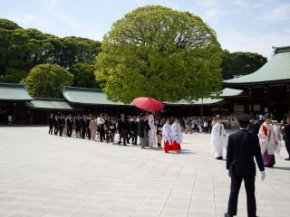 The couple with their families and guests walking across the large open space in front of Meiji Shrine&#39;s main hall