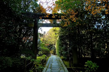 <p>Torii gate for Tosho-gu Shrine</p>
