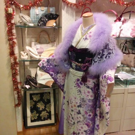 Ichiru Kimono Shop in Nihonbashi