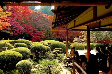 <p>The garden in autumn was gorgeous, but there were huge numbers of people, of course!</p>