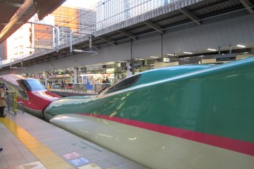 JR Tohoku Shinkansen 'Yamabiko', stopping at JR Tokyo Station