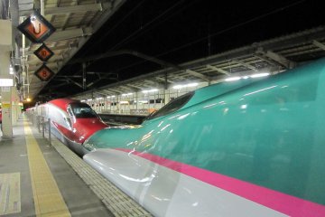 JR후쿠시마 역 정차중의 센다이행 "야마비코". 붉은색, 녹색, 핑크색 칼라와 유선형 폼이 아름답다