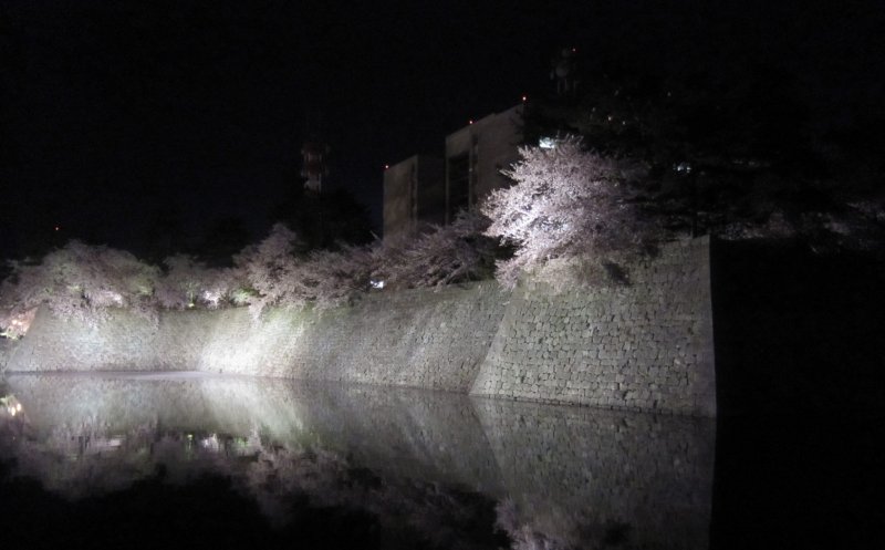 <p>ซากุระภายใต้แสงไฟในปราสาทฟุกุอิตอนกลางคืน แม่น้ำในคูเมืองสะท้อนภาพต้นซากุระ</p>