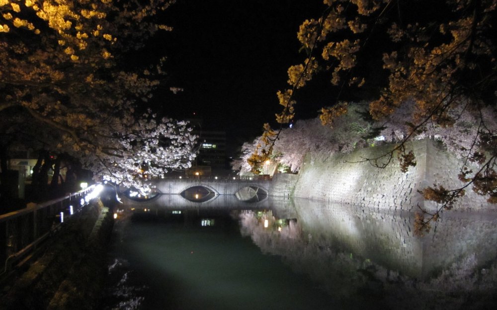 Cây cầu chính dẫn vào thành cổ Fukui và những bông hoa anh đào về đêm