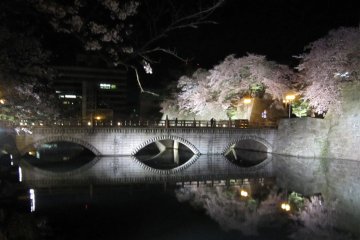 <p>ภาพสะท้อนของสะพานหลักและต้นซากุระบนพื้นผิวน้ำ</p>