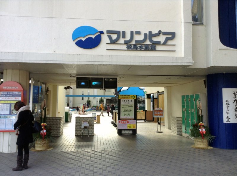 <p>The entrance to Marinepia&nbsp;is down a side street across from a local shrine. Despite its aging&nbsp;facilities, the aquarium is amazing and still regularly draws crowds.&nbsp;</p>