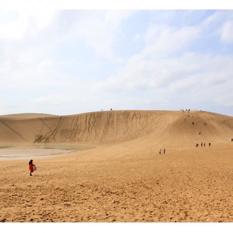 Witness Where Sand Meets Sky: Tottori's Sand Dunes