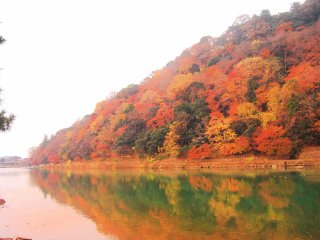 Salah satu tempat terbaik untuk menikmati dedaunan musim gugur di Kyoto