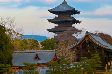 Five-story Pagoda of To-ji Temple 