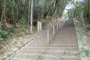 <p>Some of the 330 stone steps leading to the Main Hall</p>
